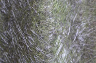 Drumeldrie fibreglass roof work